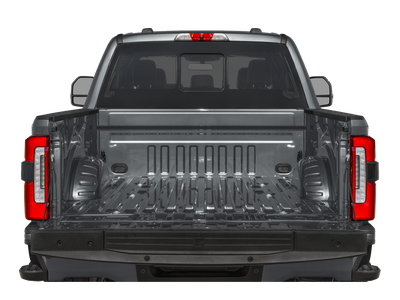 2025 Ford F-250 Platinum