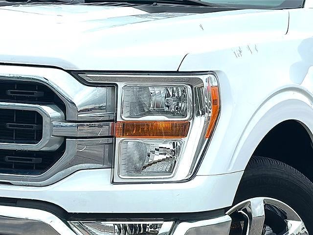 2023 Ford F-150 XLT 4WD SuperCab 6.5' Box