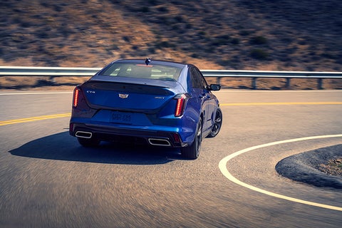 Garlyn Shelton Cadillac